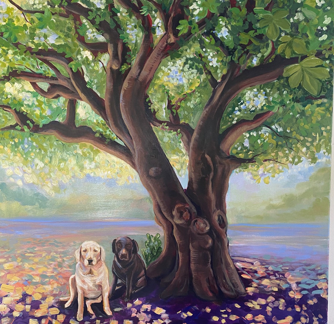 Two labradors sitting beneath a large tree by the water
